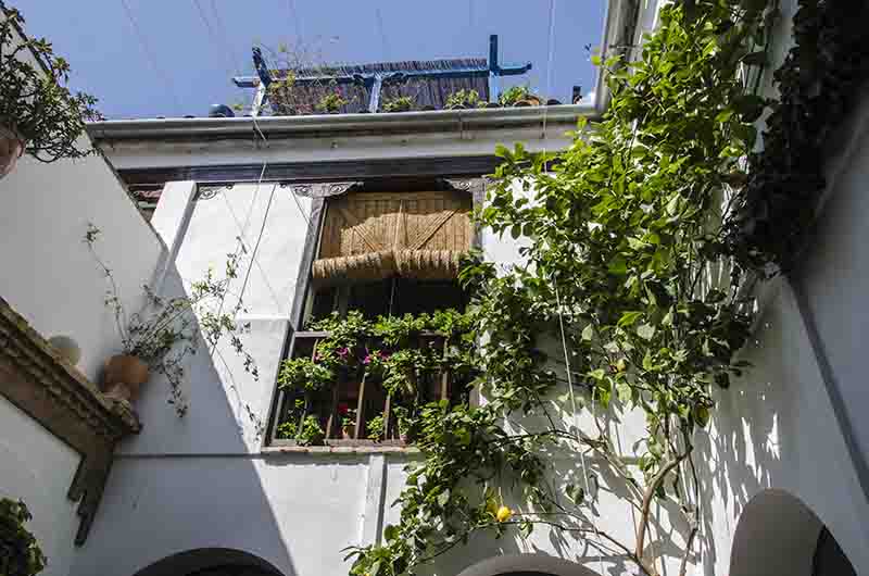 Córdoba 184 - barrio san Basilio - Patios del Alcazar Viejo - calle San Basilio 17.jpg